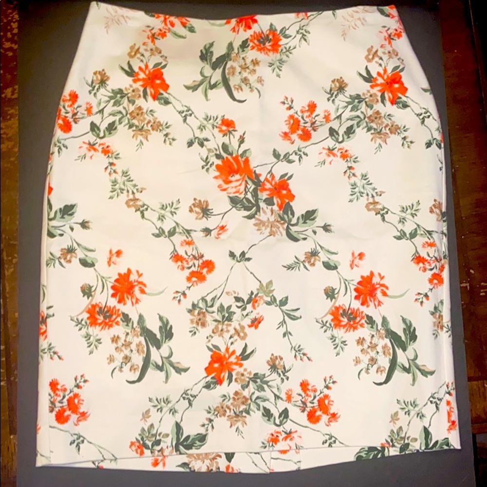 Ann Taylor Skirt Petite